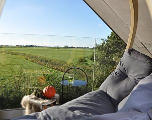 Guest house 2611901 - Holiday property Het Friese platteland - Vakantiehuisje in Westhem