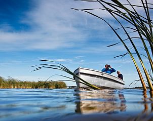 Guest house 2611901 - Holiday property Het Friese platteland - Vakantiehuisje in Westhem