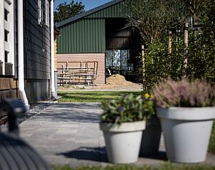 Guest house 2612401 - Holiday property Het Friese platteland - Huisje in Greonterp
