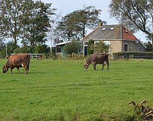 Guest house 2612803 - Holiday property Het Friese platteland - Vakantiehuisje in Ferwoude