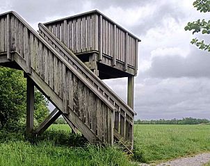 Fietsroute langs natuur in De Westereen, nabij vakantiehuis FR094