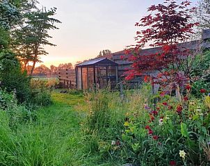 Guest house 2614003 - Holiday property Het Friese platteland - Vakantiehuisje in Munnekeburen