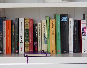 Boekenkast in Vakantiehuisje in Jirnsum, ideale leesplek op Het Friese platteland, Friesland.