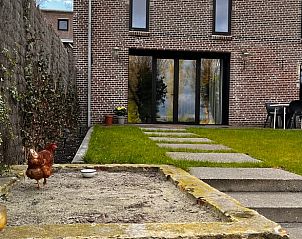 Guest house 2617802 - Holiday property Het Friese platteland - Vakantiehuisje in Lioessens