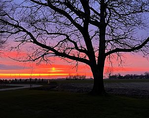 Guest house 2617802 - Holiday property Het Friese platteland - Vakantiehuisje in Lioessens