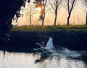 Guest house 2617802 - Holiday property Het Friese platteland - Vakantiehuisje in Lioessens