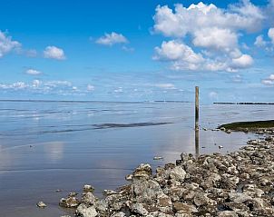 Guest house 2617802 - Holiday property Het Friese platteland - Vakantiehuisje in Lioessens