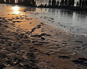 Guest house 2617802 - Holiday property Het Friese platteland - Vakantiehuisje in Lioessens