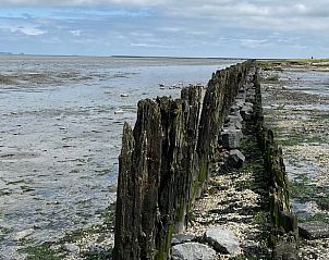 Guest house 2617802 - Holiday property Het Friese platteland - Vakantiehuisje in Lioessens