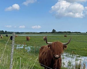 Guest house 2617802 - Holiday property Het Friese platteland - Vakantiehuisje in Lioessens