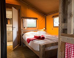 Guest house 2618306 - Tent house Het Friese platteland - Lodgetent
