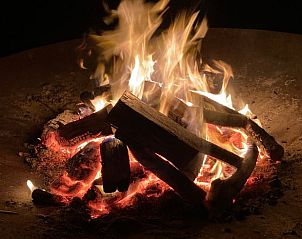 Guest house 2619901 - Holiday property Het Friese platteland - Vakantiehuis in De Hoeve