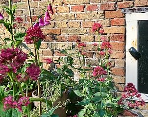 Bloemrijke tuin bij Huisje in Winsum, vakantieaccommodatie in Friesland met kleurrijke bloemen.