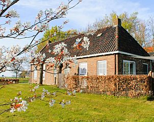 Guest house 2620103 - Holiday property Het Friese platteland - Vakantiehuisje in Tjerkgaast