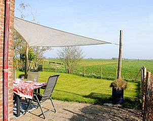 Guest house 2620103 - Holiday property Het Friese platteland - Vakantiehuisje in Tjerkgaast