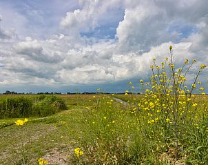 Unterkunft 2620204 - Ferienhaus Het Friese platteland - Vakantiehuisje in Jislum