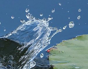 Guest house 2620303 - Holiday property Het Friese platteland - Huisje in Tersoal