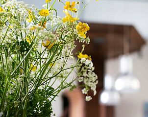 Verblijf 2620401 - Vakantiewoning Het Friese platteland - Vakantiehuisje in Easterwierrum