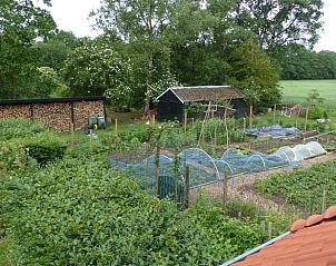 Guest house 2620501 - Holiday property Het Friese platteland - Vakantiehuisje in Boornbergum