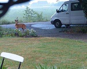 Guest house 2620501 - Holiday property Het Friese platteland - Vakantiehuisje in Boornbergum