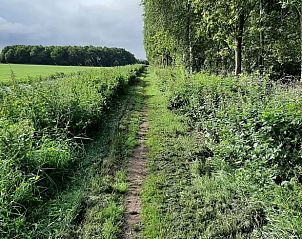 Unterkunft 2620701 - Ferienhaus Het Friese platteland - Vakantiehuisje in De Knipe