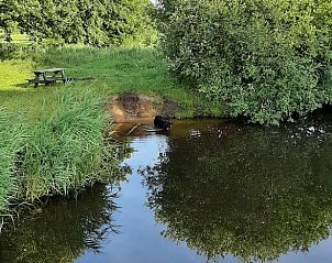 Unterkunft 2620701 - Ferienhaus Het Friese platteland - Vakantiehuisje in De Knipe