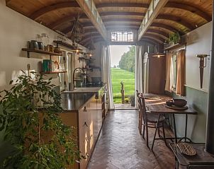 View from the kitchen of Holiday Home in Nieuwehorne of the green Frisian landscape.