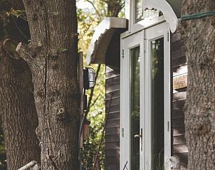 Exterior of Holiday Home in Nieuwehorne, surrounded by trees and nature.
