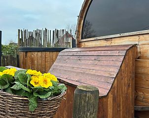 Guest house 262506 - Holiday property Het Friese platteland - Vakantiehuis in Ternaard