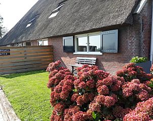 Guest house 263002 - Holiday property Het Friese platteland - Vakantiehuisje in Holwerd