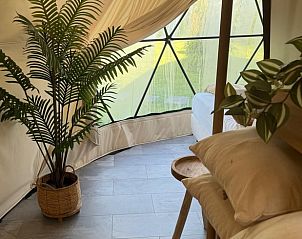 Unterkunft 263706 - Ferienhaus Het Friese platteland - Vakantiehuis in Boelenslaan