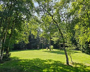 Bosrijke omgeving van Huisje in Jistrum, ideaal voor wandelingen.