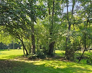 Schaduwrijke tuin bij vakantiehuis Jistrum, perfect voor zomerse dagen.
