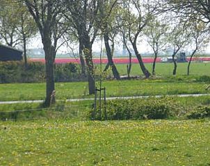 Prachtig uitzicht op het Friese platteland vanuit Huisje in Pingjum, vakantiehuis in Friesland.