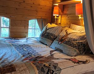 Guest house 264602 - Holiday property Het Friese platteland - Vakantiehuis in Twijzelerheide