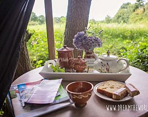 Guest house 264602 - Holiday property Het Friese platteland - Vakantiehuis in Twijzelerheide