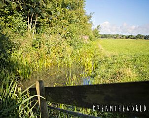 Guest house 264602 - Holiday property Het Friese platteland - Vakantiehuis in Twijzelerheide