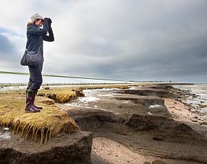 Guest house 264602 - Holiday property Het Friese platteland - Vakantiehuis in Twijzelerheide