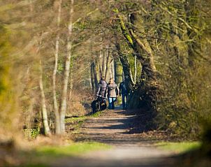 Guest house 264602 - Holiday property Het Friese platteland - Vakantiehuis in Twijzelerheide