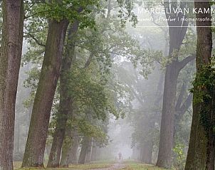 Guest house 264603 - Holiday property Het Friese platteland - Huisje in Twijzelerheide