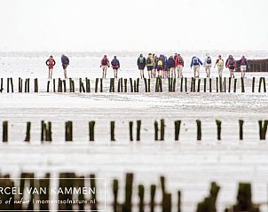 Guest house 264603 - Holiday property Het Friese platteland - Huisje in Twijzelerheide