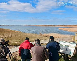 Guest house 264603 - Holiday property Het Friese platteland - Huisje in Twijzelerheide