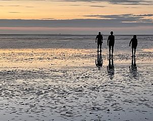 Unterkunft 265403 - Ferienhaus Het Friese platteland - Vakantiehuisje in Paesens-Moddergat