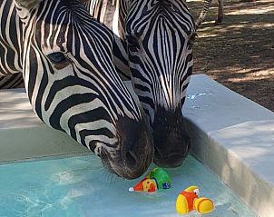 Unterkunft 2681005 - Ferienhaus Mpumalanga - Ons Blyplek