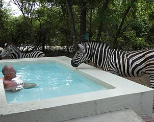 Unterkunft 2681005 - Ferienhaus Mpumalanga - Ons Blyplek