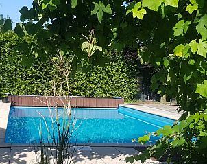 Rustiek uitzicht op het zwembad omgeven door groen bij Vakantiehuis in Fochteloo, Friesland.