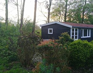 Guest house 268912 • Holiday property Het Friese platteland • Vakantiehuis in Kollumerzwaag 