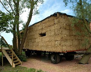 Unterkunft 269605 - Ferienhaus Het Friese platteland - Vakantiehuis in Wyns