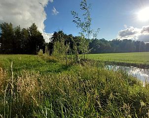 Unterkunft 269901 - Ferienhaus Het Friese platteland - Vakantiehuisje in Tijnje