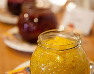 Guest house 28202401 - Apartment Hessen - Johanniterhotel